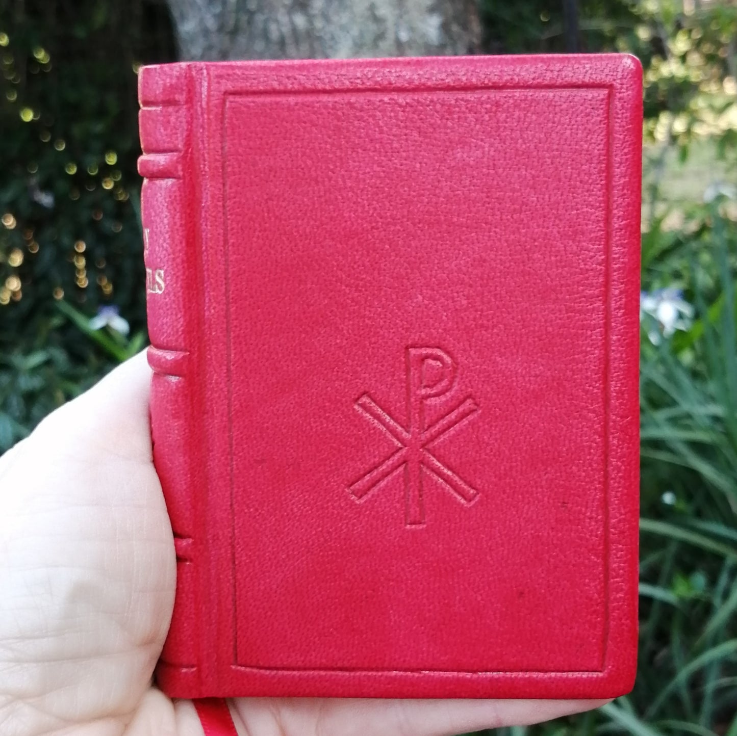 Leatherbound Book of Gospels, A-7 sized, Red Goatskin, Fr Lazarus Moore translation