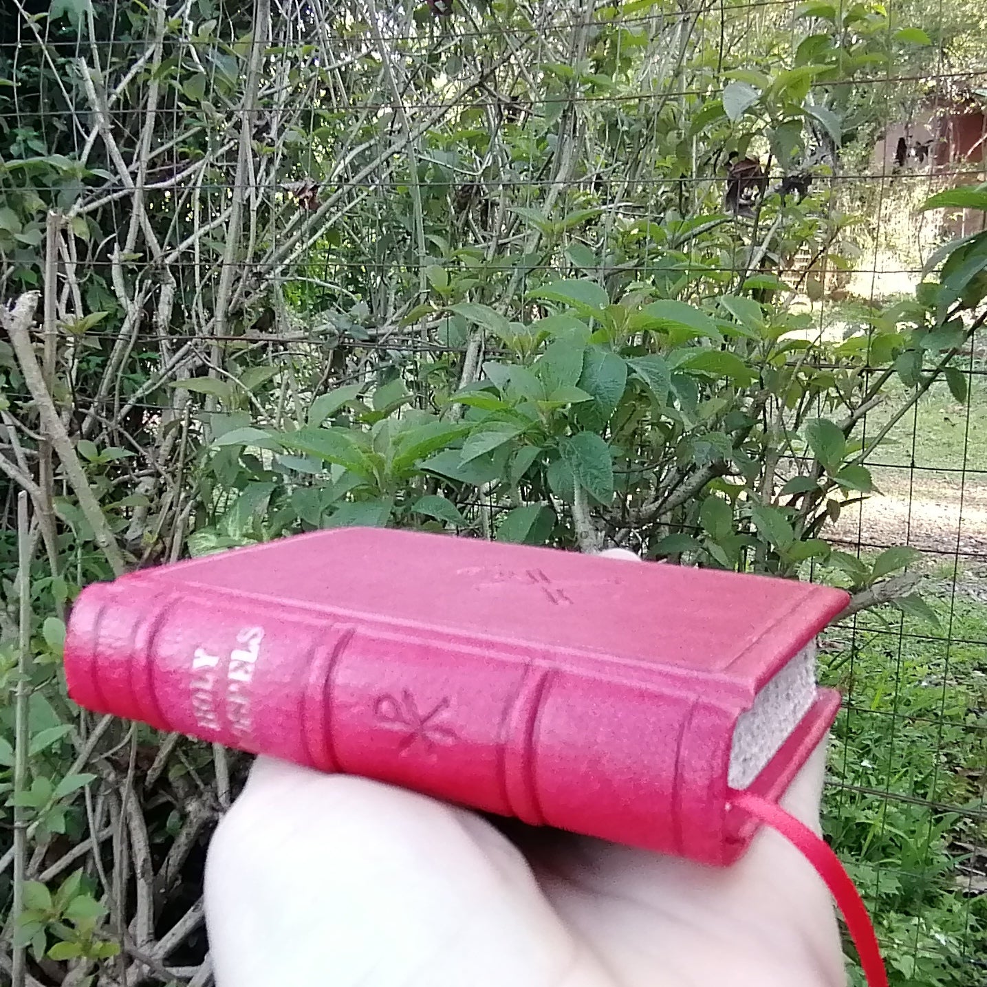 Leatherbound Book of Gospels, A-7 sized, Red Goatskin, Fr Lazarus Moore translation