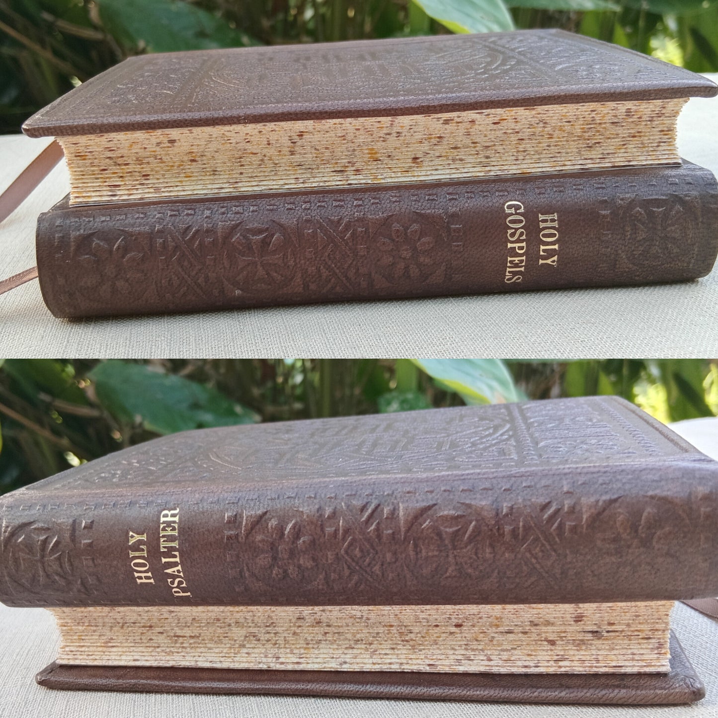 Dos-à-dos binding of Psalter and Gospels, Brown Goatskin