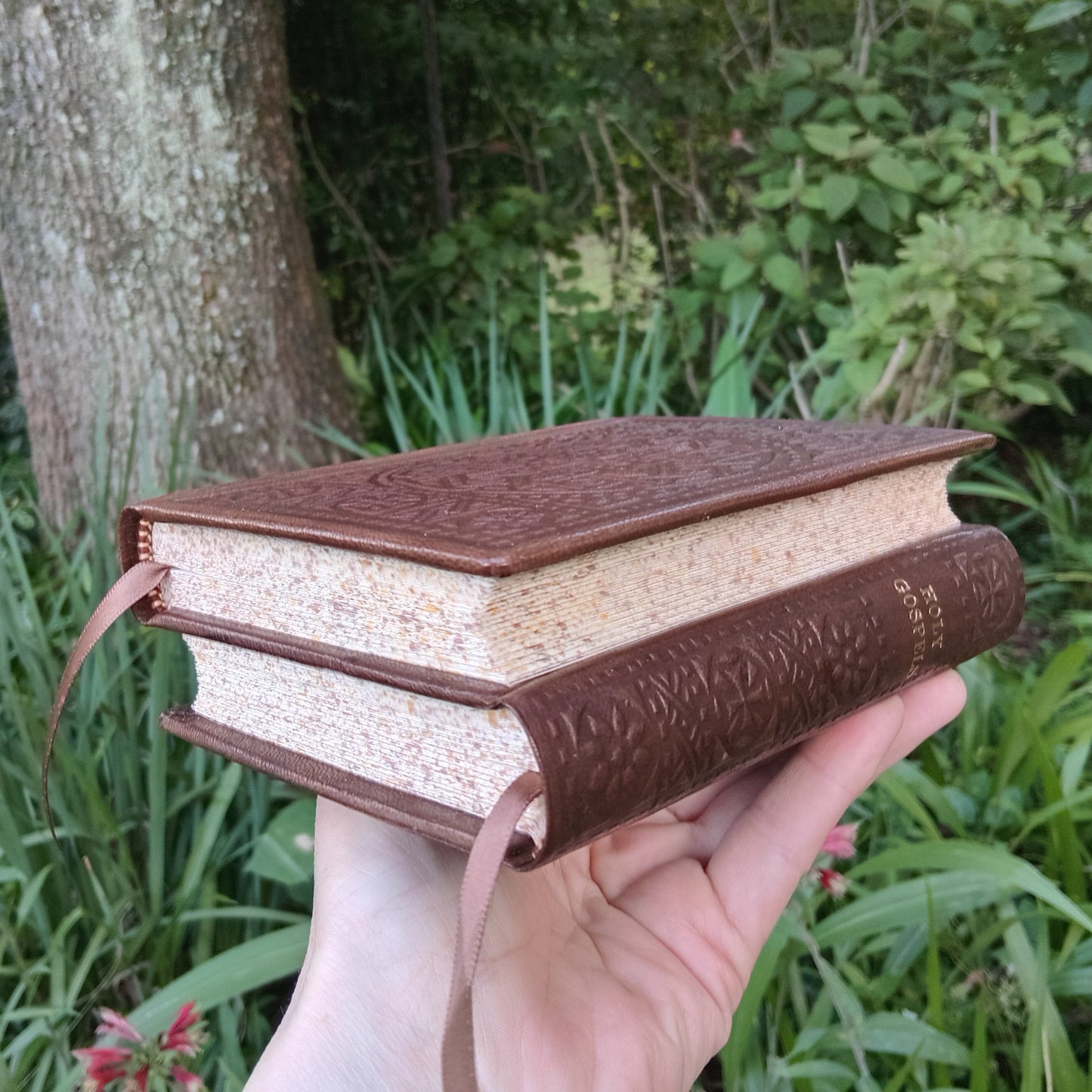 Dos-à-dos binding of Psalter and Gospels, Brown Goatskin