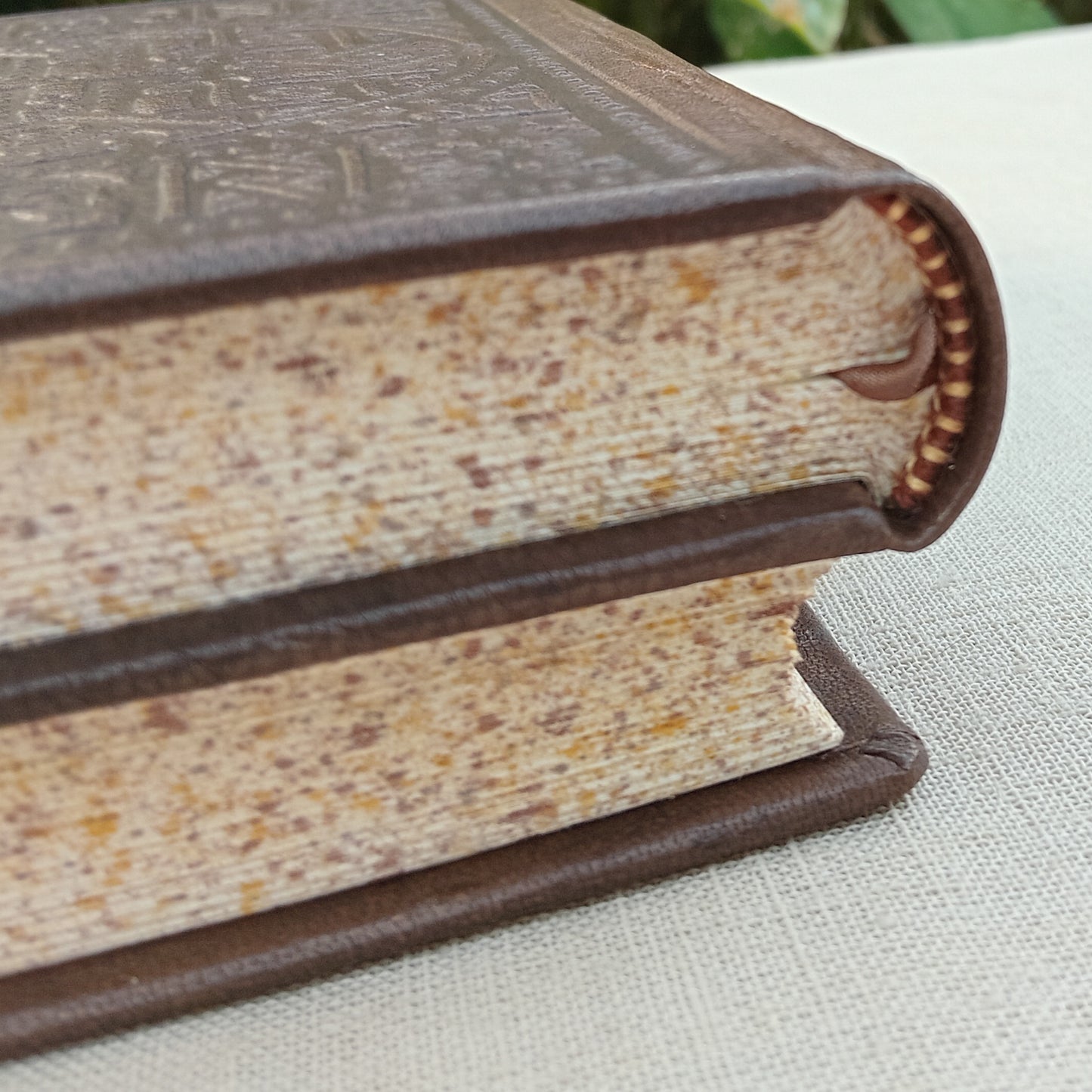 Dos-à-dos binding of Psalter and Gospels, Brown Goatskin