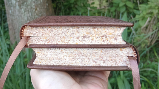 Dos-à-dos binding of Psalter and Gospels, Brown Goatskin